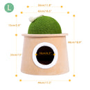 Cactus Cat Cave House with Sisal Scratching Post and sisal ball for cat kittens Green L