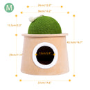 Cactus Cat Cave House with Sisal Scratching Post and sisal ball for cat kittens Green M