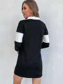 Color Block Collared Neck Mini Dress