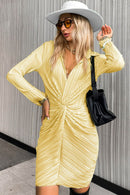 Twist Front Collared Neck Mini Dress