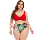 Women's plus size two-piece swimwear