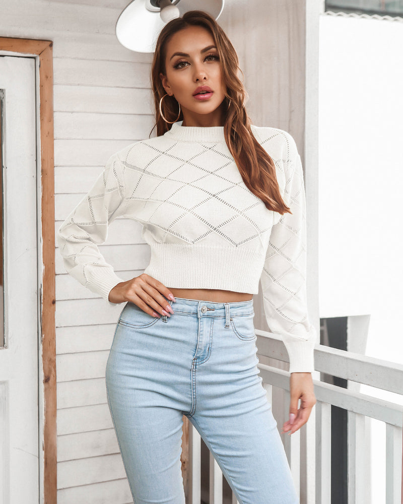 Openwork Ribbed Trim Long Sleeve Cropped Sweater