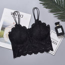Women Push Up Wireless Lace Bra
