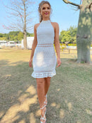 Sleeveless Zip-Back Mini Lace Dress