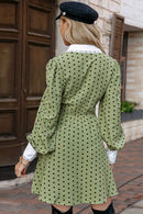 Polka Dot Puff Sleeve Collared Dress